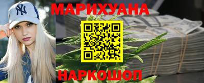 гидра Дубна