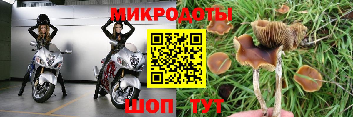 Галлюциногенные грибы MAGIC MUSHROOMS Кирово-Чепецк